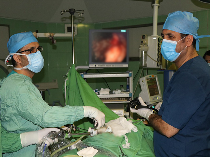 combined laparoscopic and endoscopic surgery